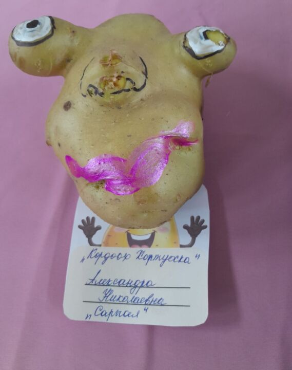 Көмүс күһүнү көрсө