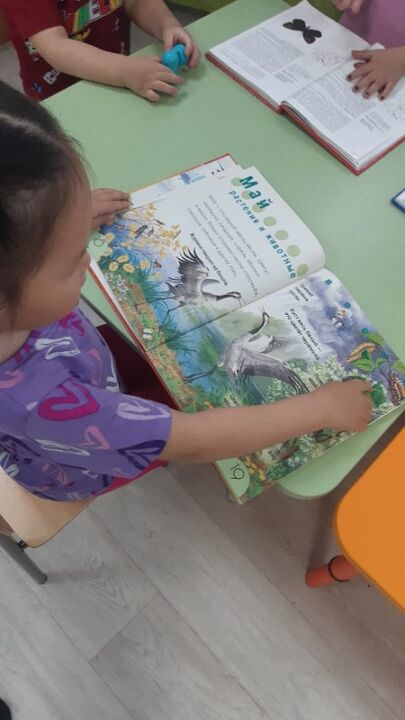 WhatsApp Image 2025-10-01 at 03.23.26 (1)
